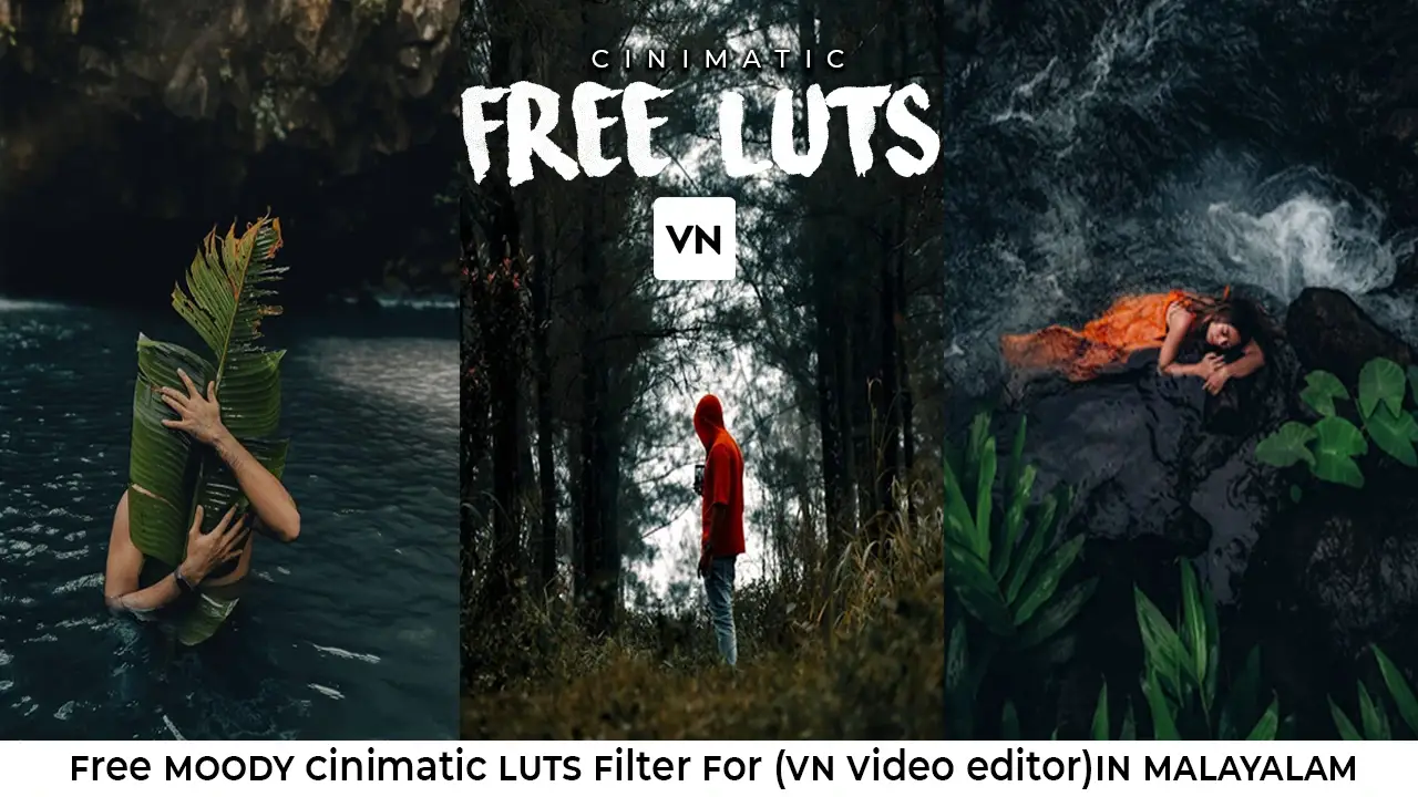 5 Best Free LUT Filters for VN & Premiere Pro: Ultimate Collection 2024