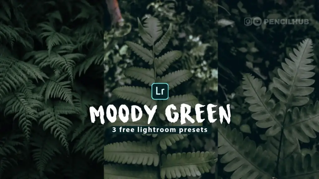 Transform Your Nature Photos with Free Moody Green Lightroom Presets